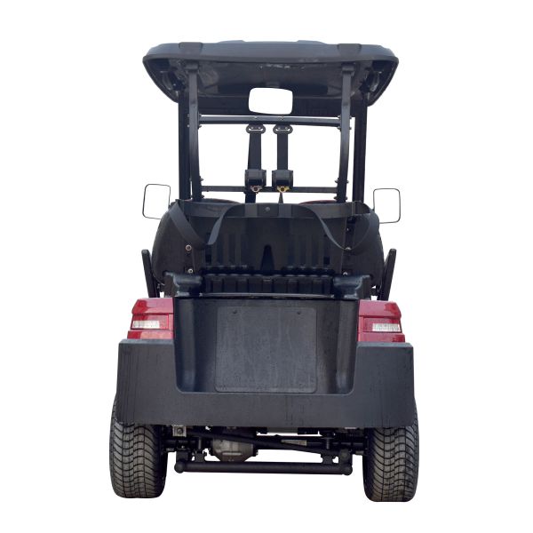 Advanced Golf Buggy Cart 2 Passenger 48V Lithium Battery With Curtis Controller