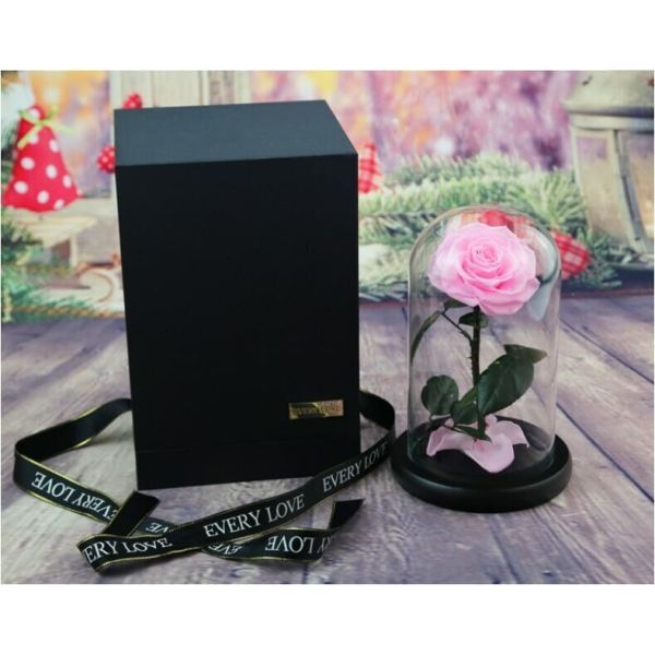 Beautiful Rose Flowers Everlasting Rose Preserved Flower Eternal Rose in Glass