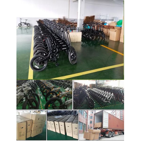 Carbon Fiber Mid Drive Custom Electric Bike Lightweight 25km / H Max Speed