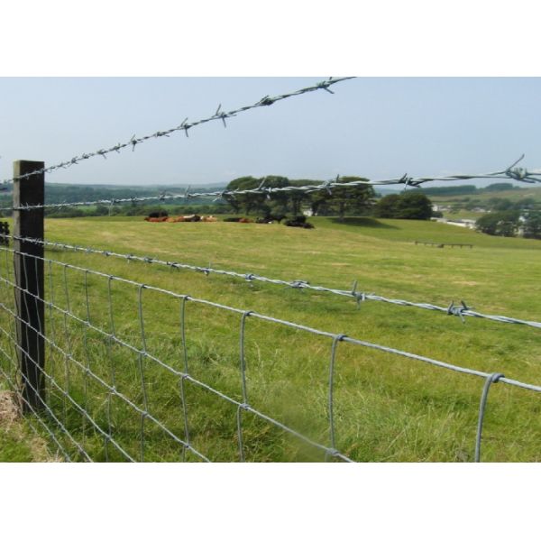 Alambre de púas de acero con alto contenido de carbono galvanizado para seguridad perimetral