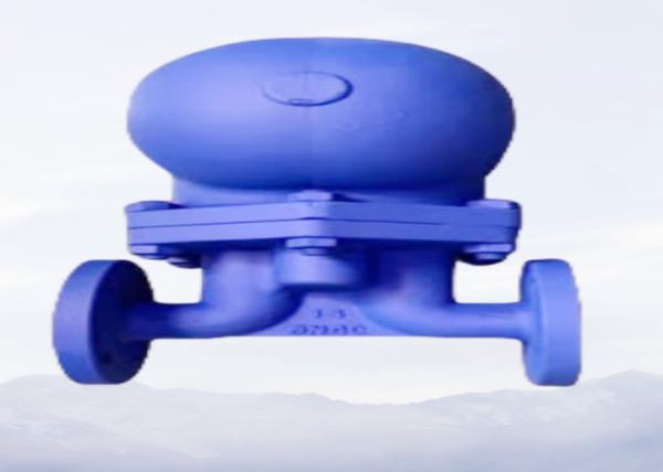 Trampa de condensado DN25 PN16 GGG40 de flotador y palanca