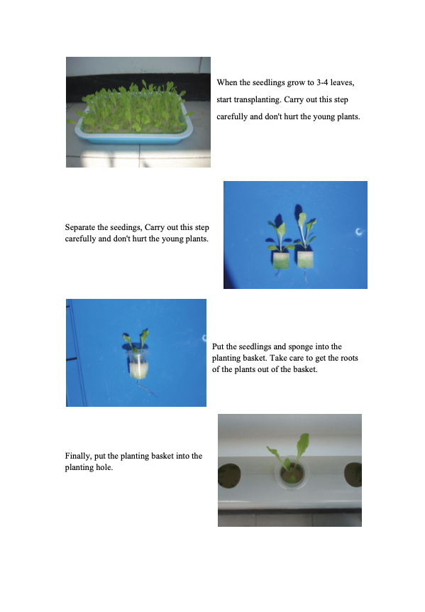 Набор Soilless Hydroponic системы метода фильма питательного вещества Hydroponic обрабатывая землю для балкона
