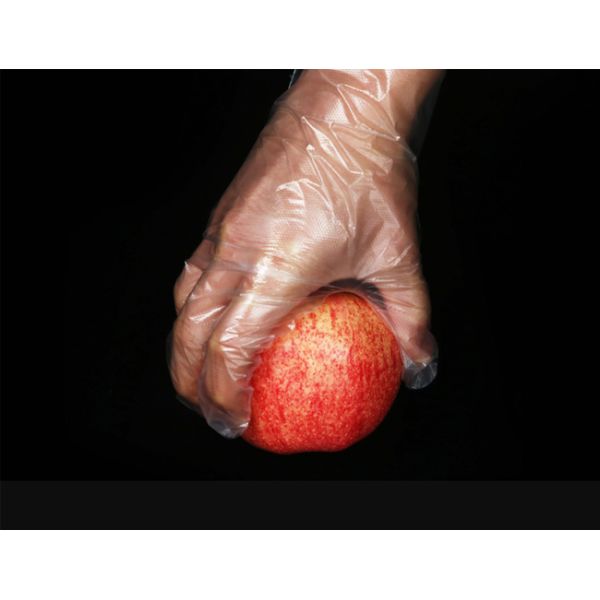 Food Grade Protection PE Waterproof Gloves