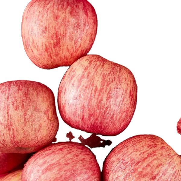 2024 Best Green Fuji Apples Fresh Product with 0.4kg Weight