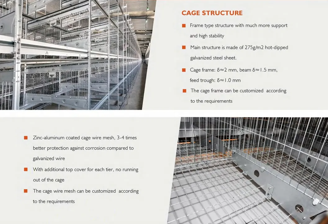 Galvanized Steel Automatic Chicken Cage with Adjustable Ventilation System for Low Maintenance Poultry Farming
