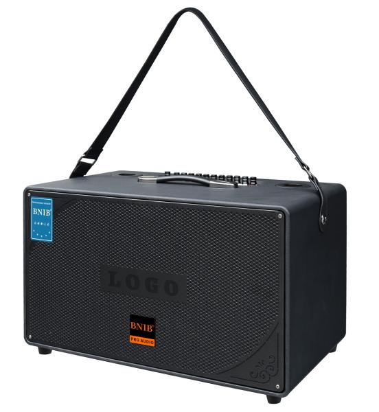 Rechargeable Home Portable Karaoke Speaker High Definition With Two Microphones