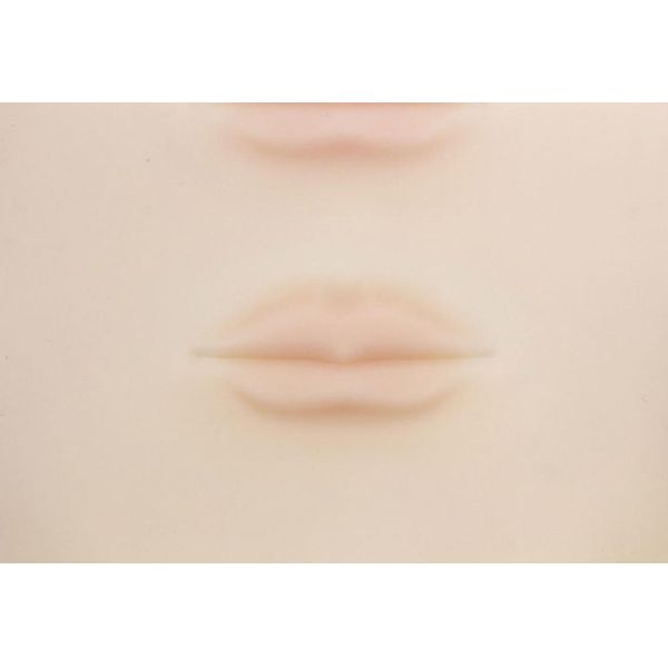 Los labios en blanco del silicón 3D del maquillaje del tatuaje del entrenamiento de la práctica de la piel permanente al por mayor de la falsificación para la máquina del tatuaje de Microblading piden