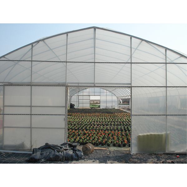Durable Poly Small Agricultural Greenhouse Tunnel Roses Professional Flower Growing UV-Resistant PE Film Cover Ventilation