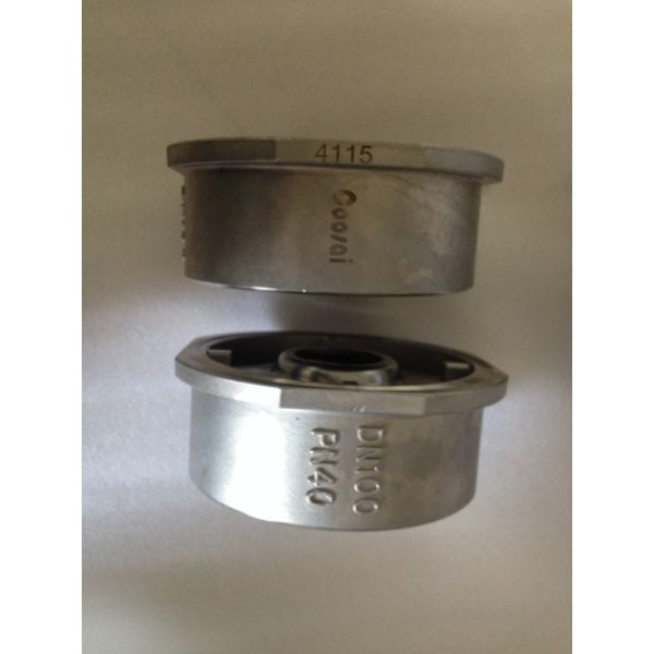 ANSI Standard Single Plate Spring Loaded Wafer Check Valve