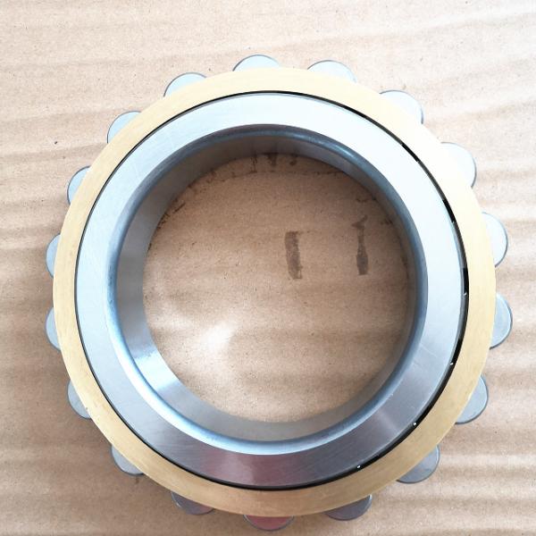 RN219M Single Row Cylindrical Roller Bearing Size 95*151.5*32mm