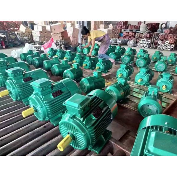 YE4 YE5 IE4 IE5 Asynchronous Electric Induction Motor B5 20kw AC Motor For Water Pump