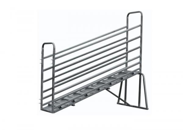 Hot-dipped galvanized sheep Loading Ramp
