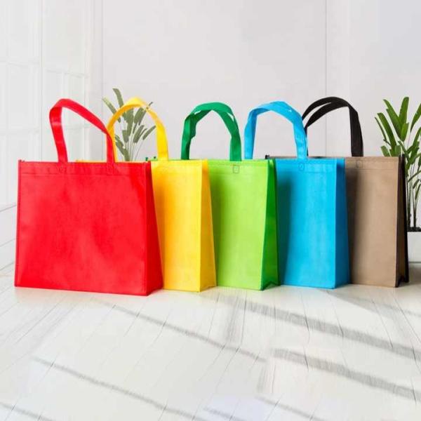 Promotional Grocery Customized 120gsm PP Woven Shopping Bag for Supermarket Fruit, Vegetables,meats,seafood.