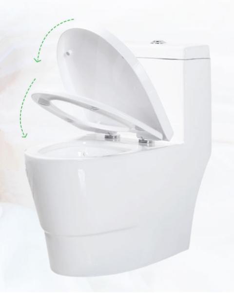 Modern Elongated WC Sanitary Ware Toilet Dual Flush 690X370X760mm