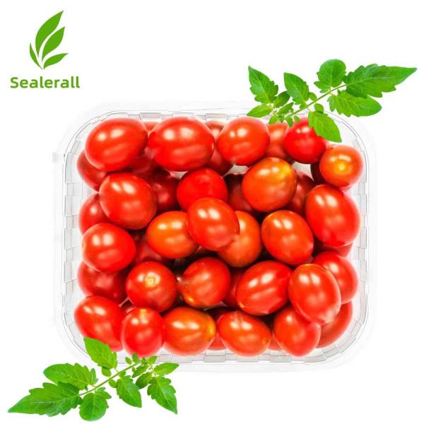Sealerall MAP Plateau Sélecteur pour les petites tomates 10-12 plateaux de colis