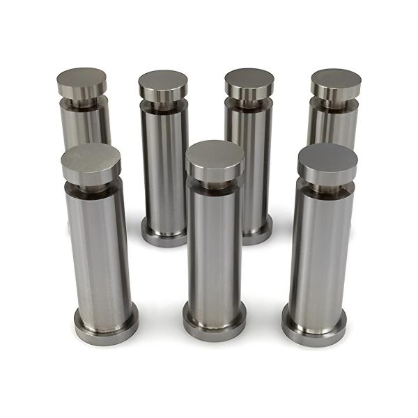 Customized Punches HSS Stamping Die Parts With M2 Punch And DIN9861 D Standard