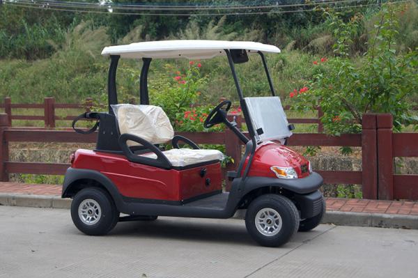 Onward 2 Passenger Electric Golf Cart Trojan Battery CE Approved