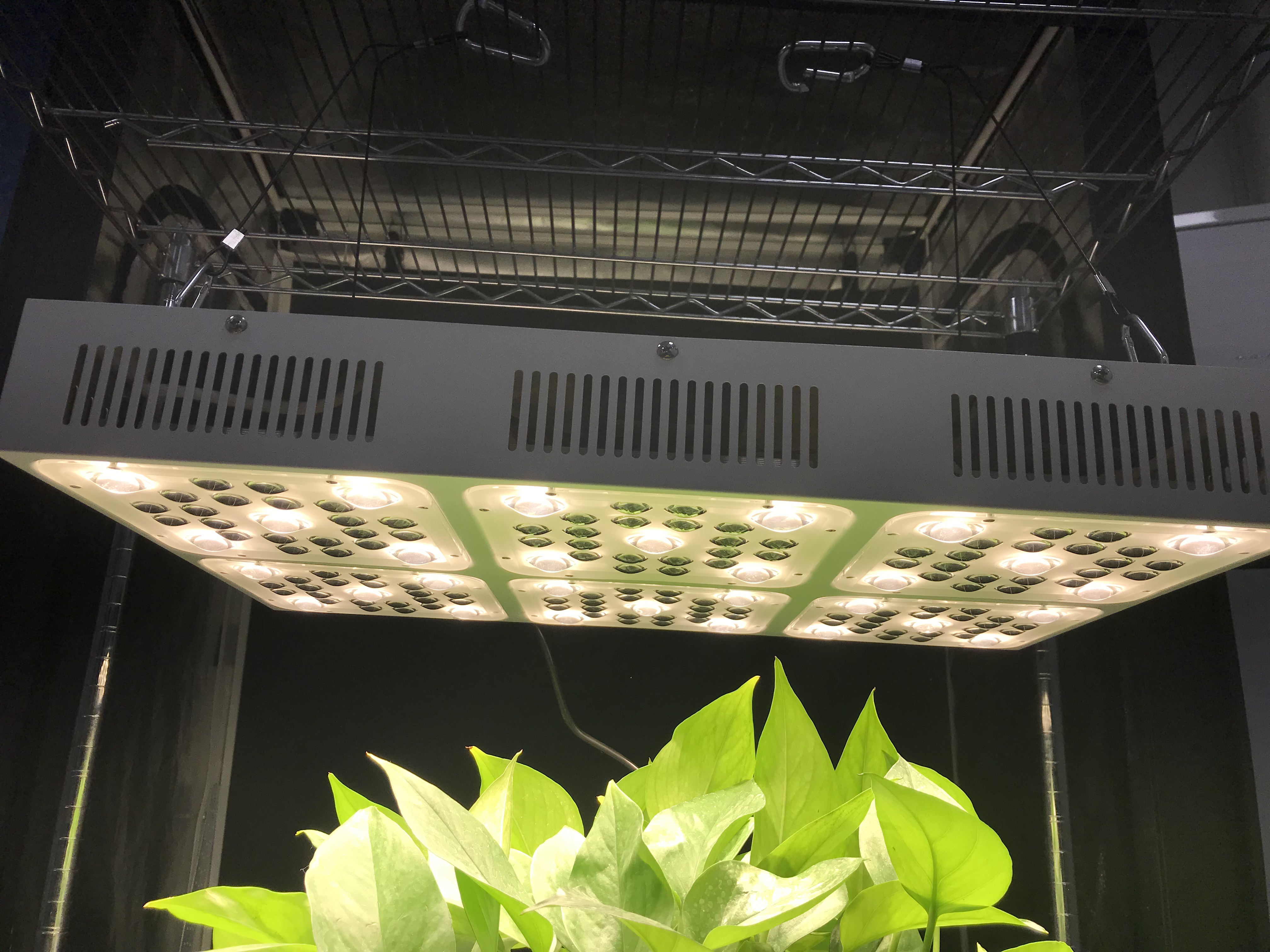 панель СИД инфракрасн полного спектра 570W УЛЬТРАФИОЛЕТОВАЯ растет светлой