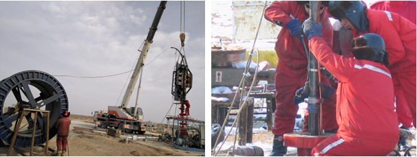 Anti-Paraffin Immersion Electric Heat Tracing For High Wax Oil Well