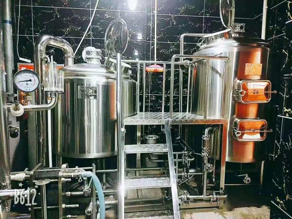 300L Per Batch Micro Beer Brewing Equipment Electric Heating For Hotel / Brewpub