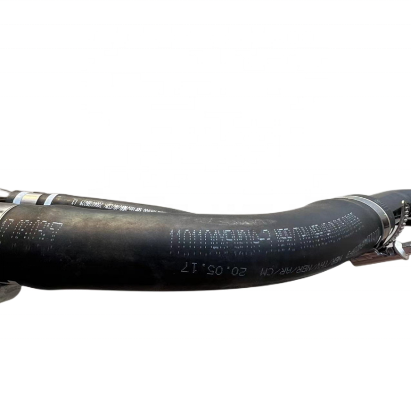 101102XPW06A 1101104XPW01A 101106XPW01A Refueling Pipe Assembly for Great Wall POER