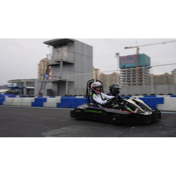 High Speed Drift Adult Electric Kart Junior Remote Control 43mm 3000RPM