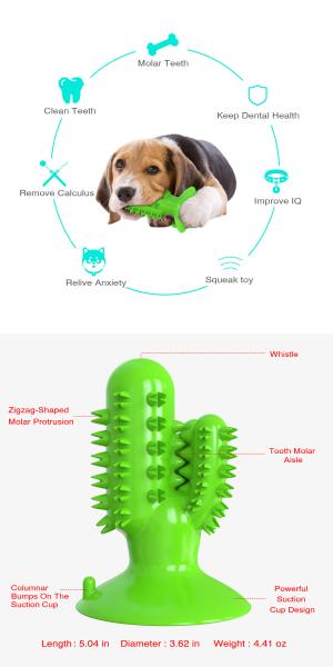 OEM de Toy Squeaky Rubber Relieve Anxiety TPR da mastigação da limpeza dos dentes de cão do cacto