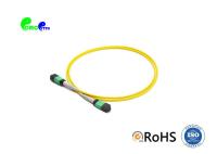 Fibra 9 do cabo 12 do tronco de MTP/125μm MTP modo fêmea OS2 LSZH de MTP ao único para datilografar um cabo do remendo