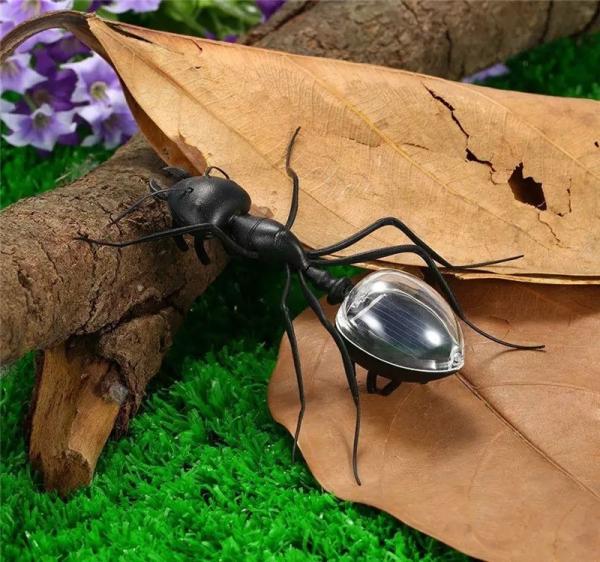 Black Solar Powered Ant Simulation Early Education Solar Insect Toy