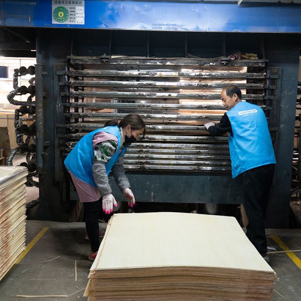 Древесина ODM OEM основала переклейку тополя панелей 920x920MM прокатанную для вырезывания лазера