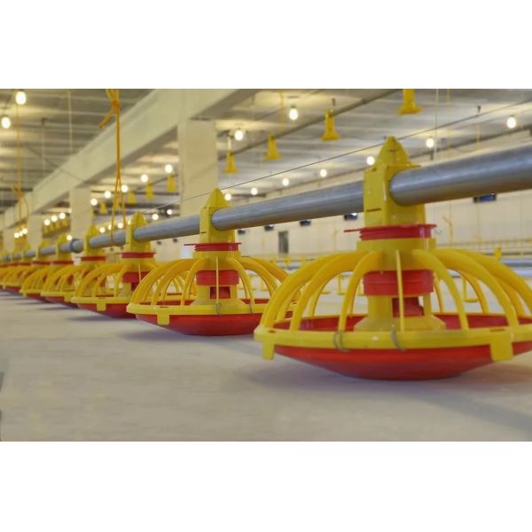 Customized Corrosion Resistant Poultry Farm Ventilation System with Hot-Dip Galvanized Steel and Easy Assembly