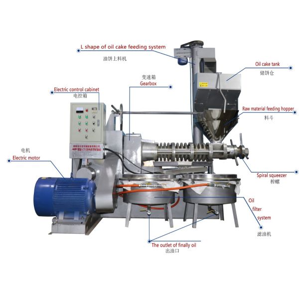 Cold Press Small Screw Oil Press Machine Sesame Seeds Oil Extraction Press Machine