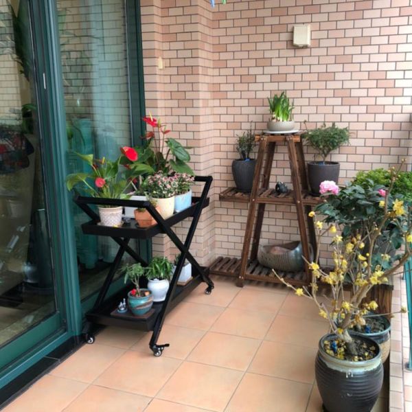 Customized Logo Metal Movable Trolley Hand Carts for Hotel and Medical Customized