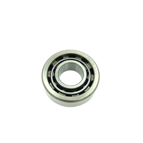 Chrome Steel Excavator Swing Bearing Cylindrical Rollers Slewing Ring NUP2310