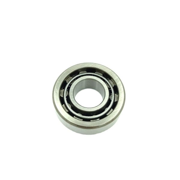 Chrome Steel Excavator Swing Bearing Cylindrical Rollers Slewing Ring NUP2310