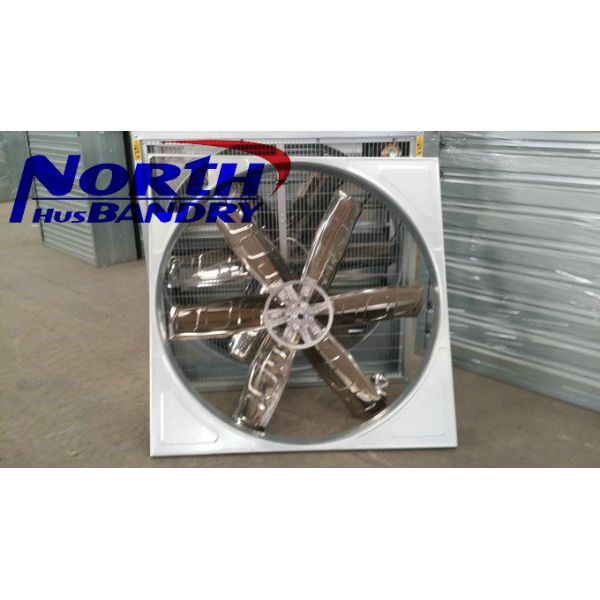 injection of poultry