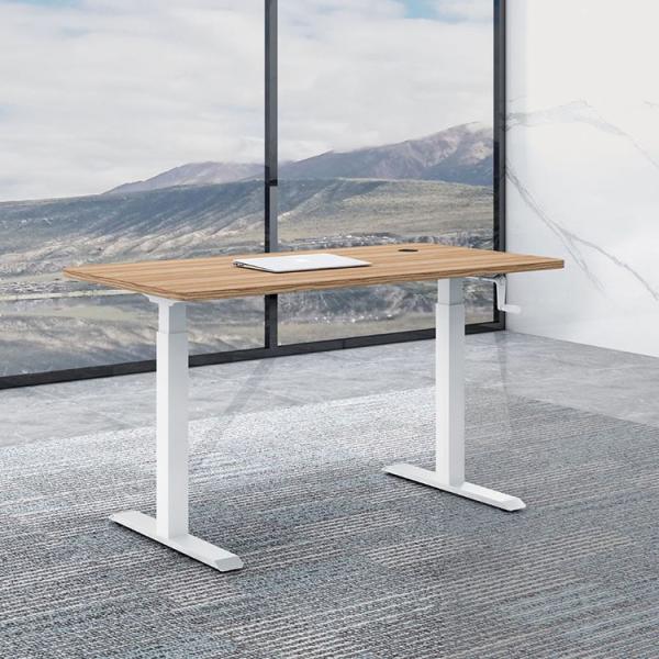 Adjustable Petite Ergonomic French Two Motor Standing Desk for Kids Mail Packing