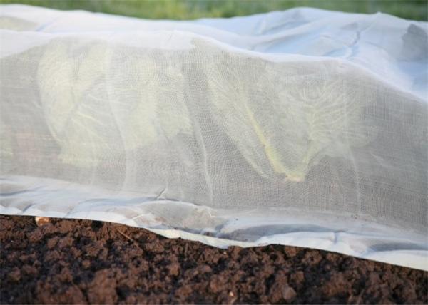 Heat Resistance 45gsm Insect Screen Mesh , Disease Prevention Insect Proof Net