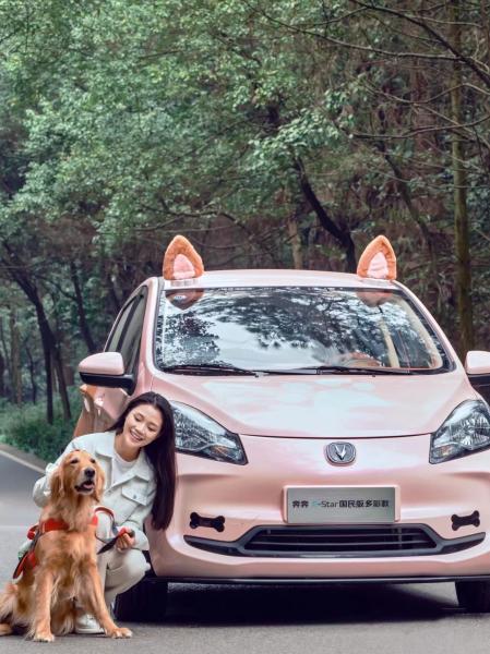 Changan Benben E-Star Electric Car 2023 Model 5 Door 5 Seats Pure Electric 75HP 301km Range 101km/h Full load weight 1150KG