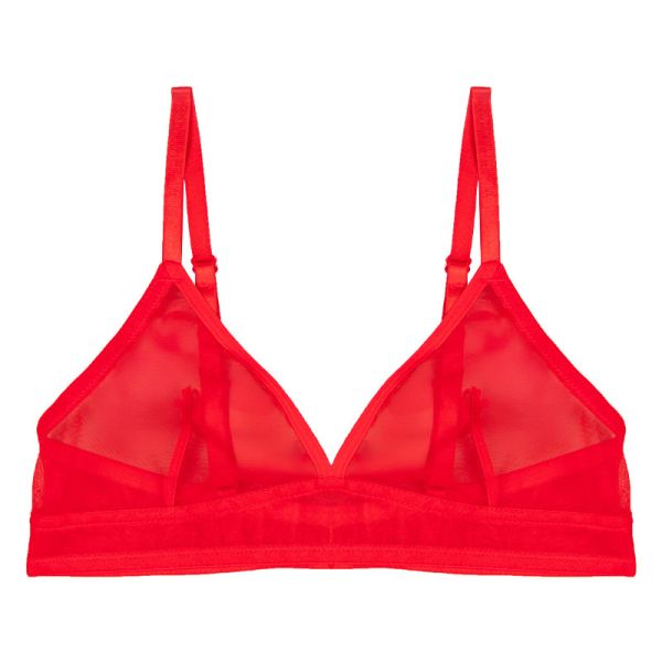 Transparent Mesh Erotic Bra Wholesale Price Xs-xxl Sizes Ladies Bra Underwear Hot Sexy Lace Wholesale Bra for Female