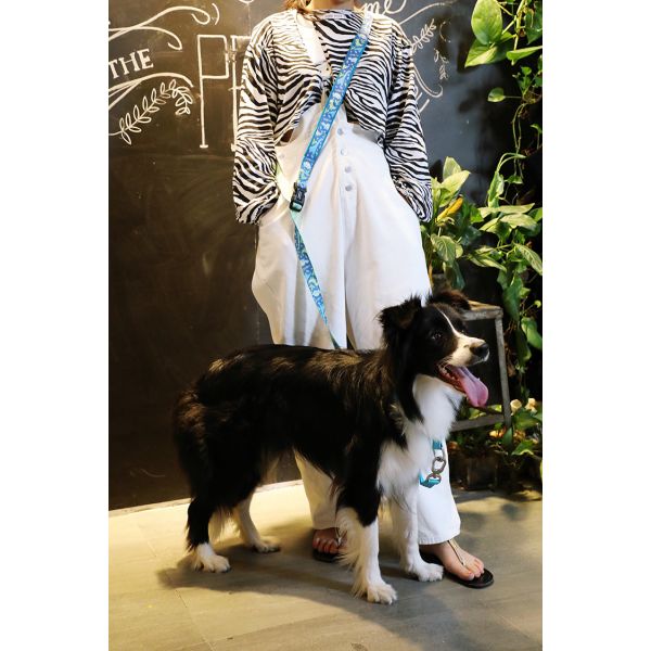 Rpet Fiber Quick Release Padded Dog Leash Soft Neoprene 10 Foot 12 Foot 15 Foot