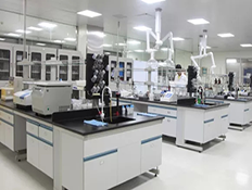 Linyi Xinghong Trading Co., Ltd