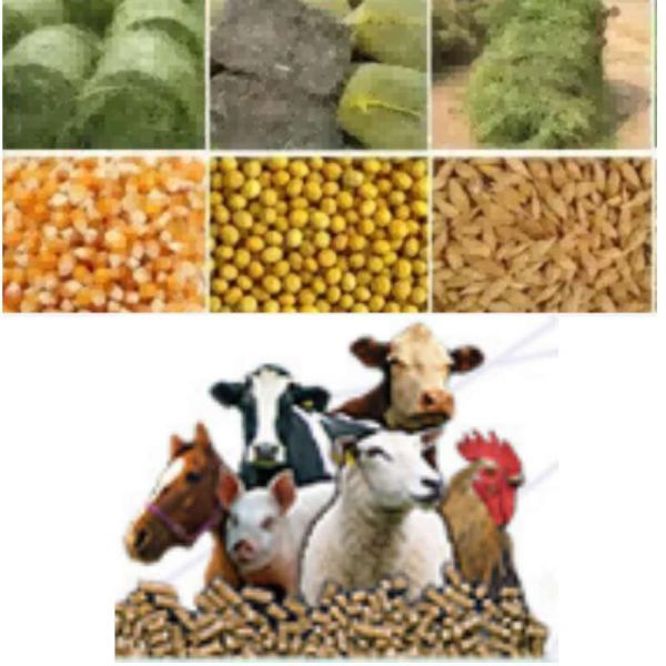 Машина лепешки продовольственного зерна корма для животных машины 10-80hp лепешки соломы PTO