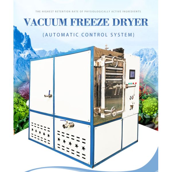 220V Freeze Dryer With 200kg/H Evaporation Capacity In 40 Feet Container