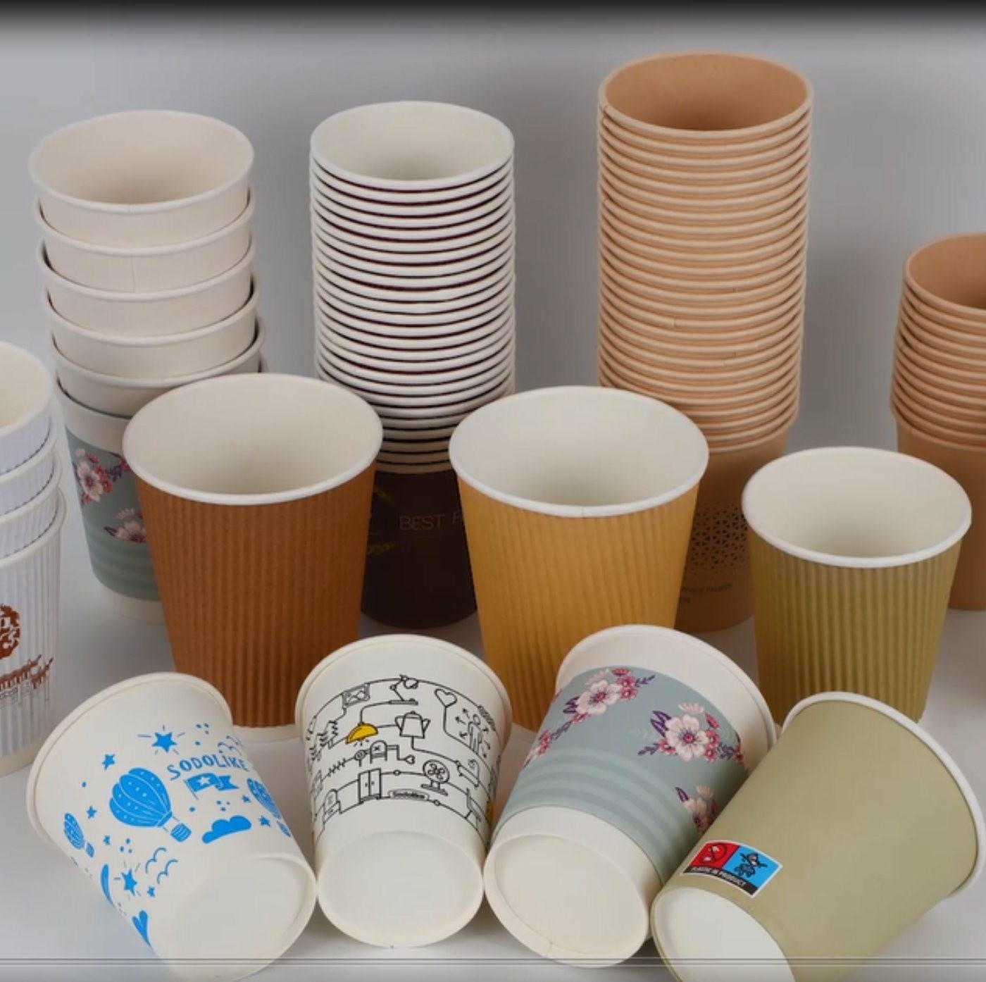 Professional of Paper Cup and Plastic Cover Customized Order for Disposable Houseware