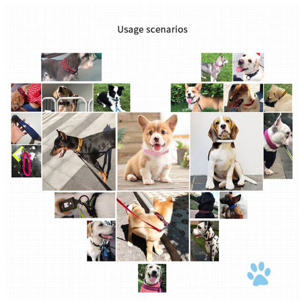 Brown Yellow Purple Pink Leather Dog Collar Personalized Leather Breakaway Cat Collar