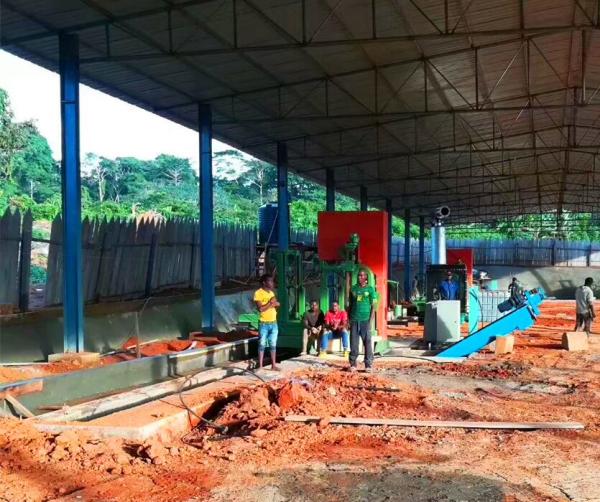 Dia. 1200mm sawing CNC Automatic Feeding Vertical Band Sawmill With Log Carriage