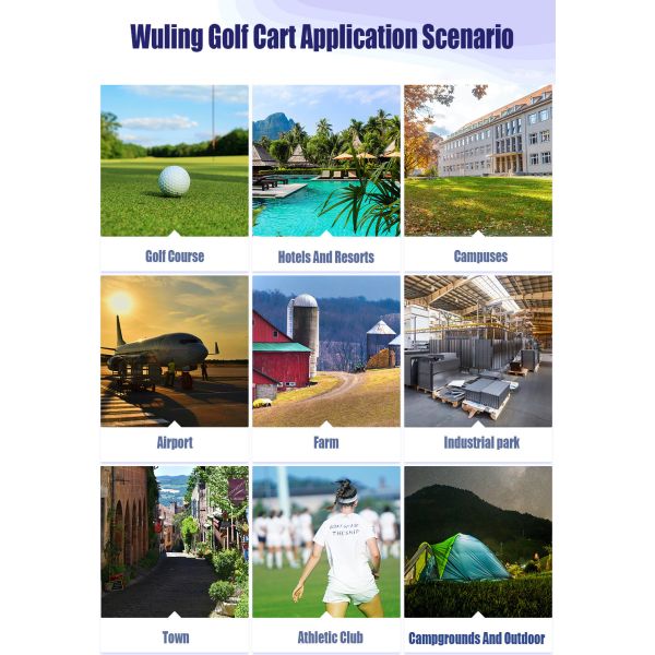 3000 R/Min Rated Speed Electric Golf Carts with CE Certification and Multi Functional