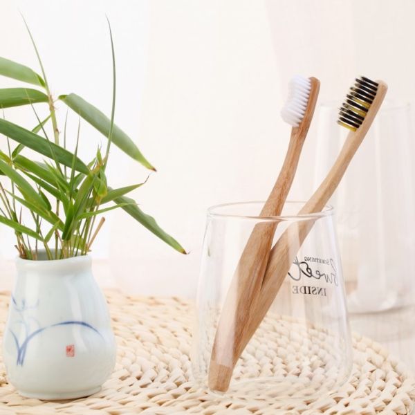 Oral Care Completely Biodegradable Toothbrush 190mm Earth Friendly