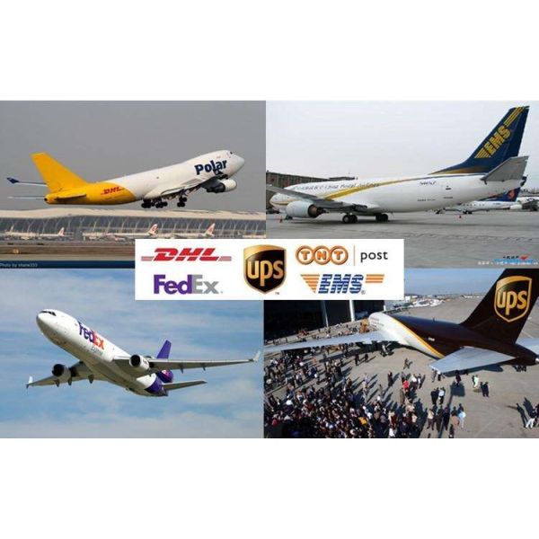 От ШАНХАЯ Китая к обслуживаниям глобального снабжения международным грузя выразите Соединенные Штаты Францию